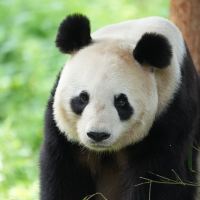 評論圖片 3