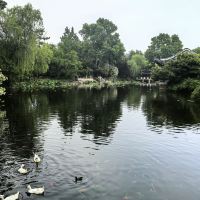 評論圖片 2