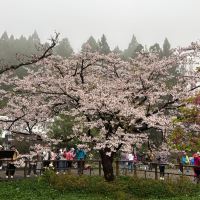 評論圖片 2