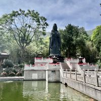 評論圖片 7