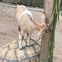 評論圖片 2