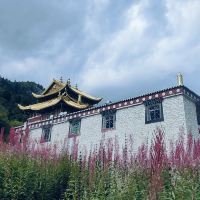 評論圖片 5