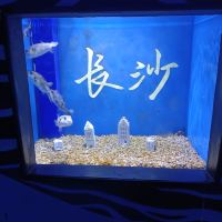 評論圖片 2