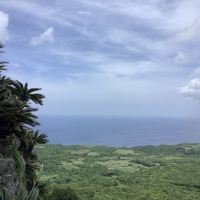 評論圖片 1