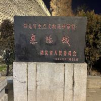 評論圖片 9
