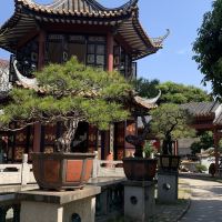 評論圖片 2