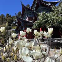 評論圖片 4