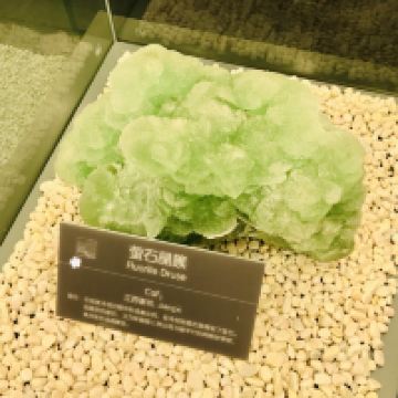 評論圖片 1