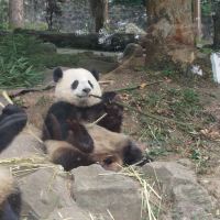評論圖片 7