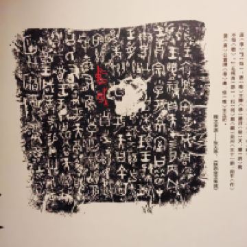 評論圖片 9