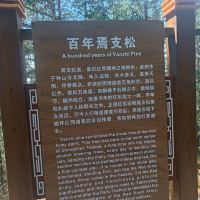 評論圖片 6