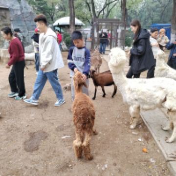 評論圖片 1