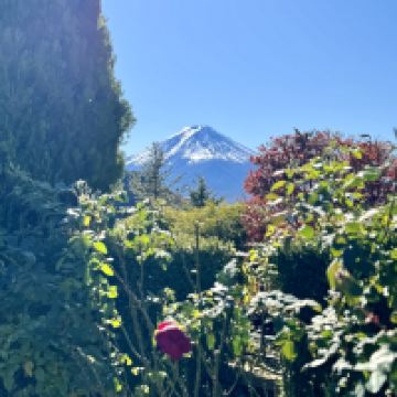 評論圖片 3