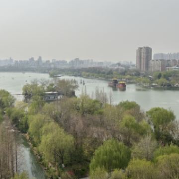 評論圖片 1