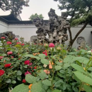 評論圖片 4