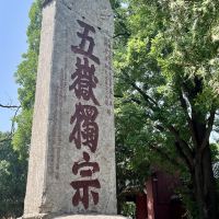 評論圖片 8