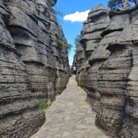 評論圖片 8