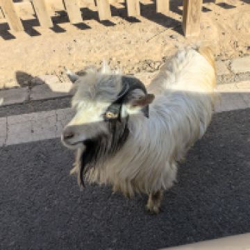 評論圖片 6