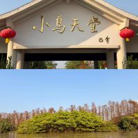 評論圖片 1