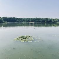 評論圖片 4