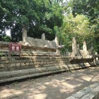 評論圖片 7