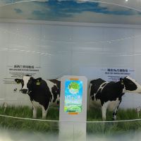 評論圖片 3