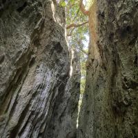 評論圖片 4