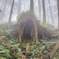 評論圖片 4