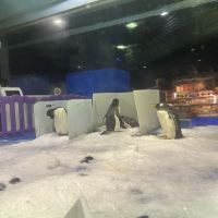 評論圖片 1