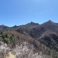 評論圖片 8