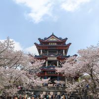 評論圖片 1