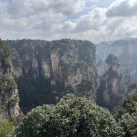 評論圖片 7