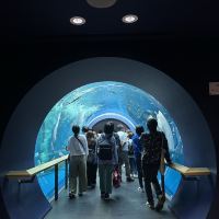 評論圖片 2