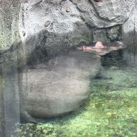 評論圖片 8