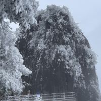 評論圖片 5