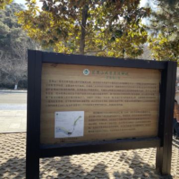 評論圖片 6