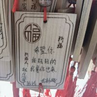 評論圖片 5