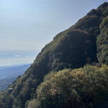 評論圖片 5