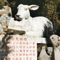 評論圖片 3
