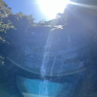 評論圖片 8