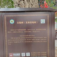 評論圖片 3