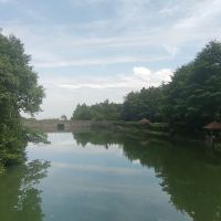 評論圖片 4