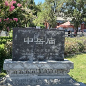評論圖片 6
