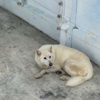 評論圖片 7