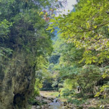 評論圖片 4