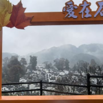 評論圖片 5