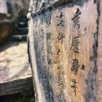 評論圖片 2