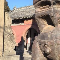 評論圖片 1