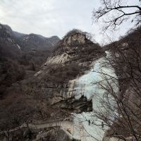 評論圖片 5