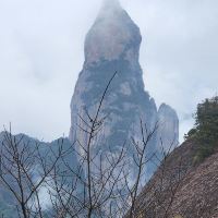 評論圖片 5